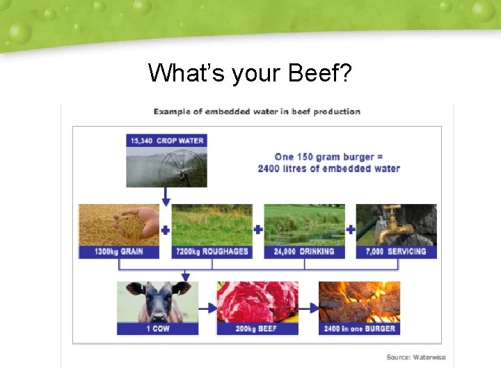 What’s your Beef? 