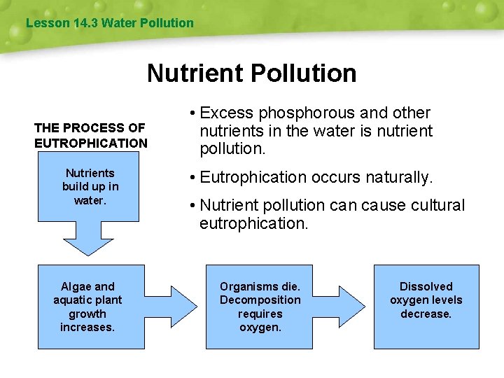Lesson 14. 3 Water Pollution Nutrient Pollution THE PROCESS OF EUTROPHICATION Nutrients build up