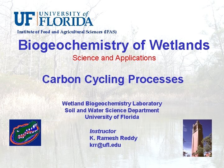 Institute of Food and Agricultural Sciences (IFAS) Biogeochemistry of Wetlands Science and Applications Carbon