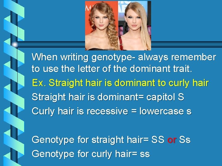 When writing genotype- always remember to use the letter of the dominant trait. Ex. When writing genotype- always remember to use the letter of the dominant trait. Ex.