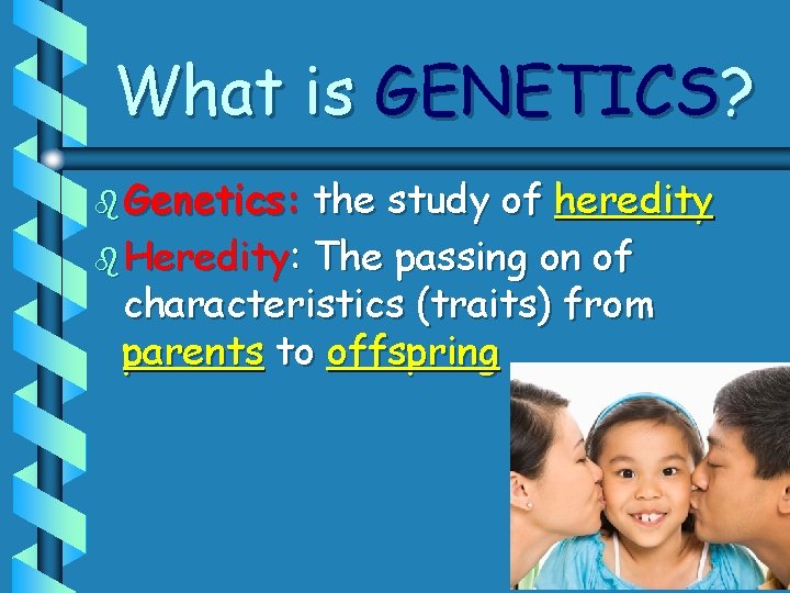 What is GENETICS? b Genetics: the study of heredity b Heredity: The passing on What is GENETICS? b Genetics: the study of heredity b Heredity: The passing on