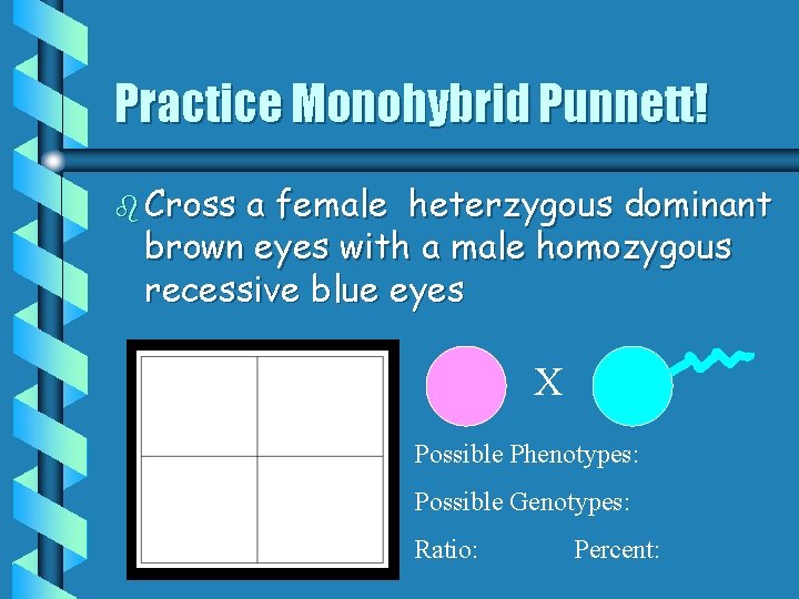 Practice Monohybrid Punnett! b Cross a female heterzygous dominant brown eyes with a male Practice Monohybrid Punnett! b Cross a female heterzygous dominant brown eyes with a male
