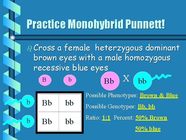 Practice Monohybrid Punnett! b Cross a female heterzygous dominant brown eyes with a male Practice Monohybrid Punnett! b Cross a female heterzygous dominant brown eyes with a male