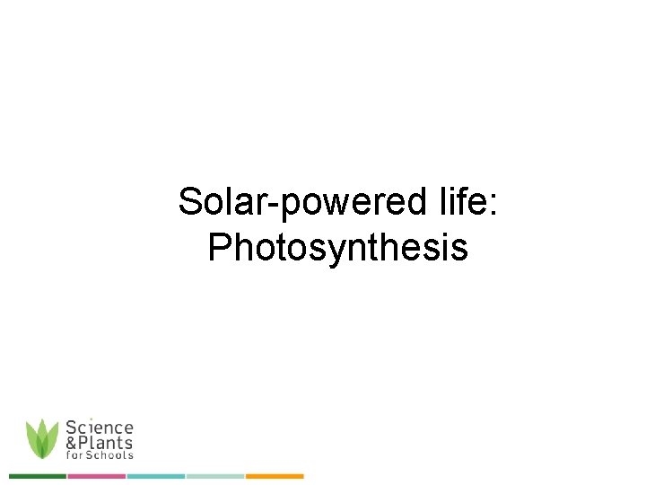 Solar-powered life: Photosynthesis 