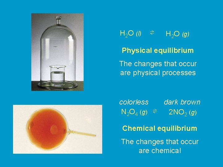 H 2 O (l) ⇌ H 2 O (g) Physical equilibrium The changes that