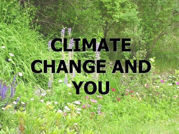 CLIMATE CHANGE AND YOU 