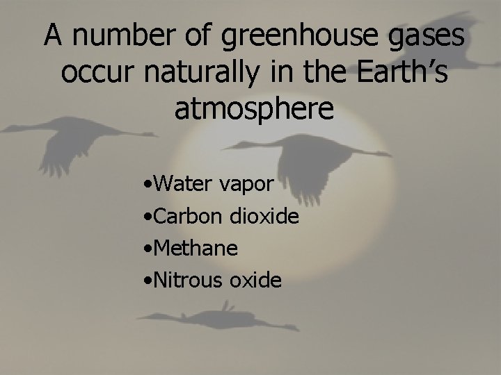 A number of greenhouse gases occur naturally in the Earth’s atmosphere • Water vapor