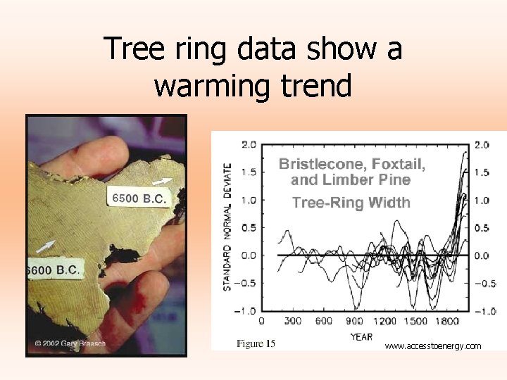 Tree ring data show a warming trend www. accesstoenergy. com 