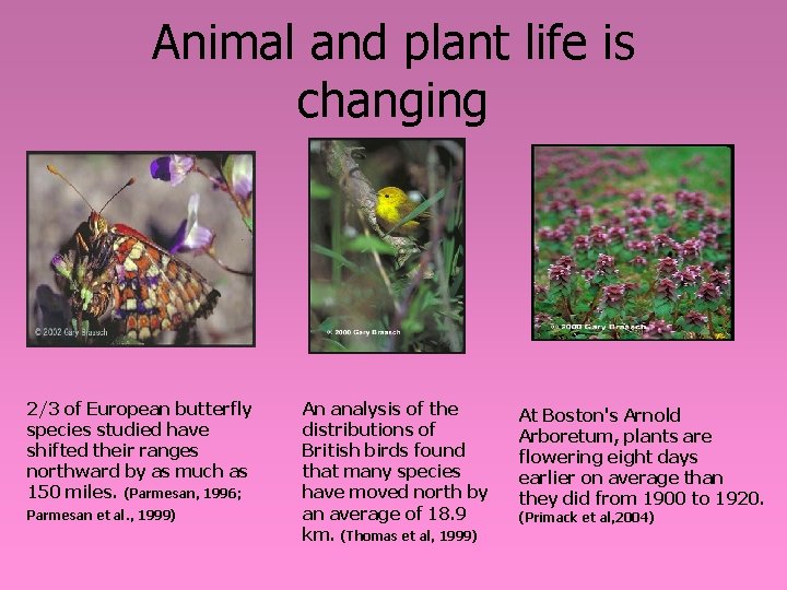 Animal and plant life is changing 2/3 of European butterfly species studied have shifted