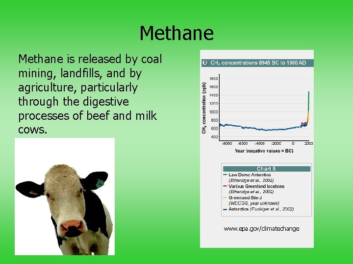Methane is released by coal mining, landfills, and by agriculture, particularly through the digestive