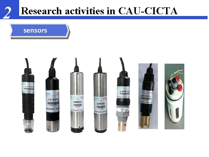 2 Research activities in CAU-CICTA sensors 