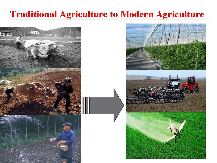 Traditional Agriculture to Modern Agriculture 