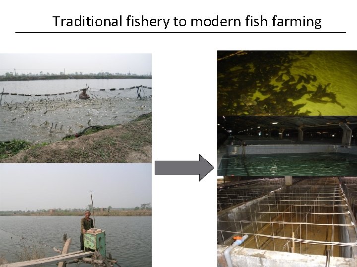 Traditional fishery to modern fish farming 