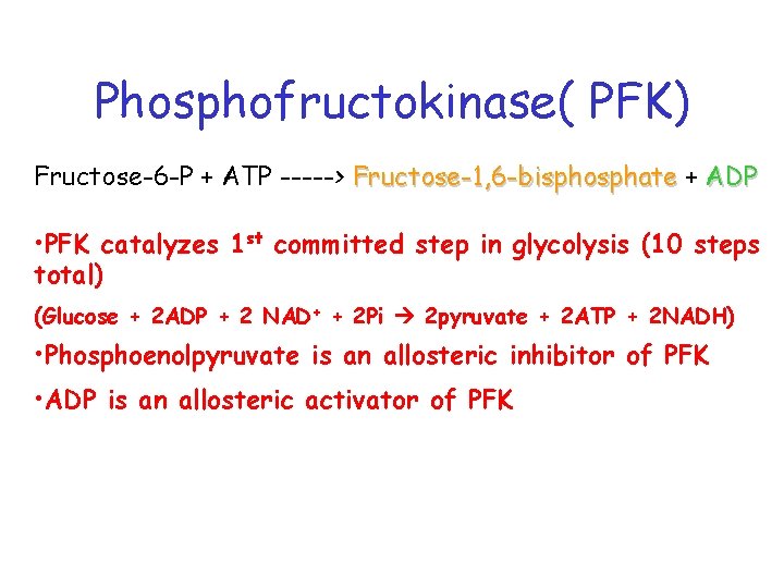 Phosphofructokinase( PFK) Fructose-6 -P + ATP -----> Fructose-1, 6 -bisphosphate + ADP • PFK