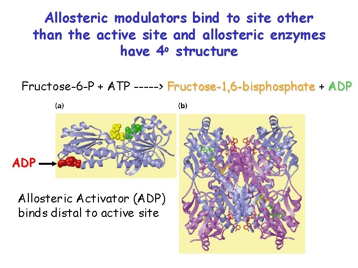 Allosteric modulators bind to site other than the active site and allosteric enzymes have