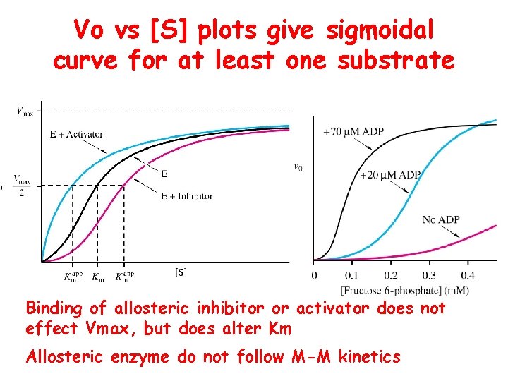 Vo vs [S] plots give sigmoidal curve for at least one substrate Binding of
