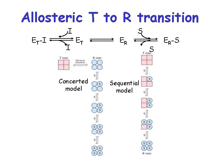 Allosteric T to R transition ET-I I I ET Concerted model ER S Sequential