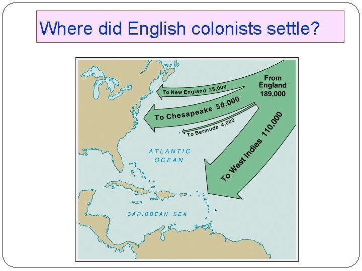 Where did English colonists settle? 