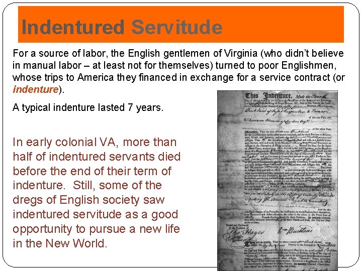 Indentured Servitude For a source of labor, the English gentlemen of Virginia (who didn’t