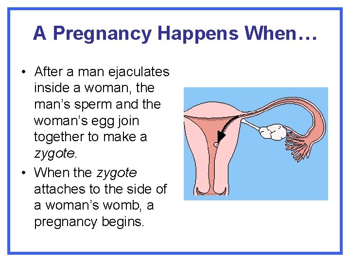 A Pregnancy Happens When… • After a man ejaculates inside a woman, the man’s