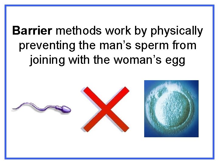Barrier methods work by physically preventing the man’s sperm from joining with the woman’s