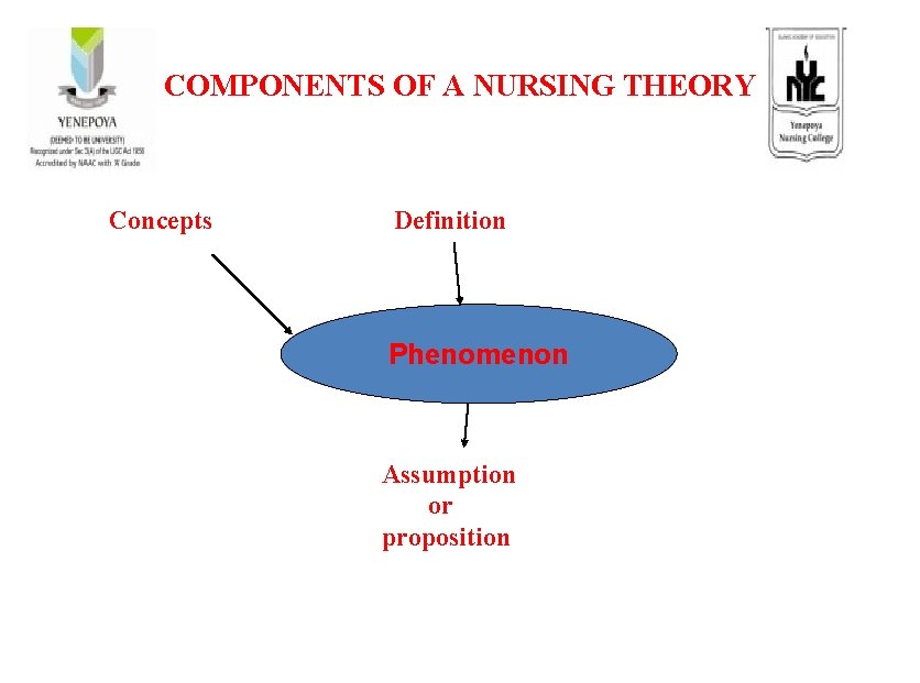 COMPONENTS OF A NURSING THEORY Concepts Definition Phenomenon Assumption or proposition 