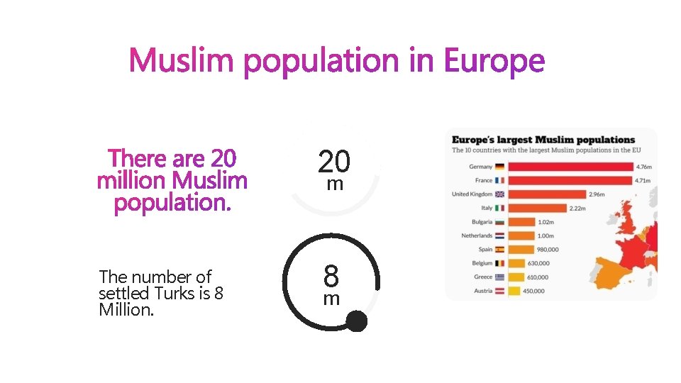 20 m The number of settled Turks is 8 Million. 8 m 20 m The number of settled Turks is 8 Million. 8 m