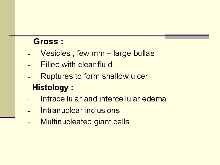 Gross : Vesicles ; few mm – large bullae Filled with clear fluid Ruptures