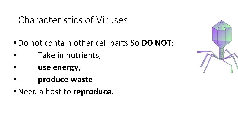 Characteristics of Viruses • Do not contain other cell parts So DO NOT: •