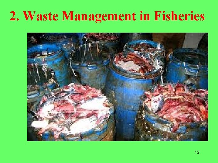 2. Waste Management in Fisheries 12 
