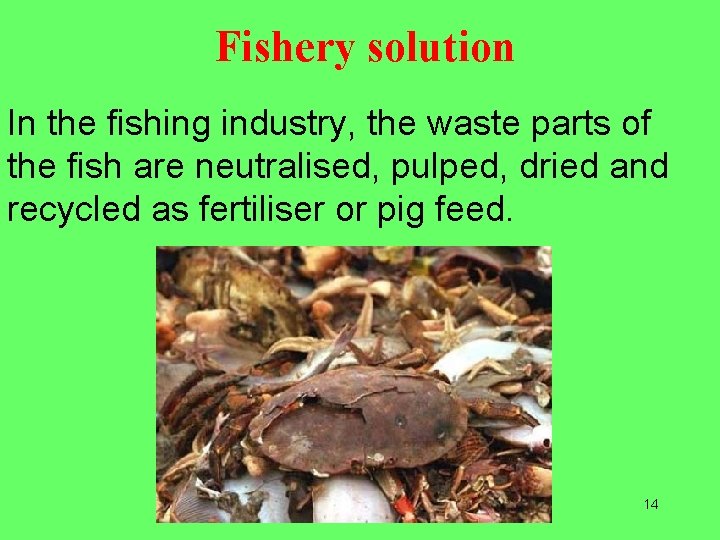 Fishery solution In the fishing industry, the waste parts of the fish are neutralised,