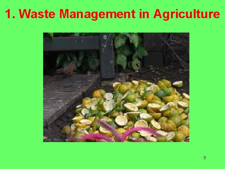 1. Waste Management in Agriculture 9 