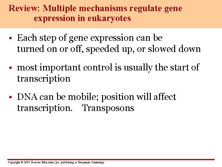 Review: Multiple mechanisms regulate gene expression in eukaryotes • Each step of gene expression