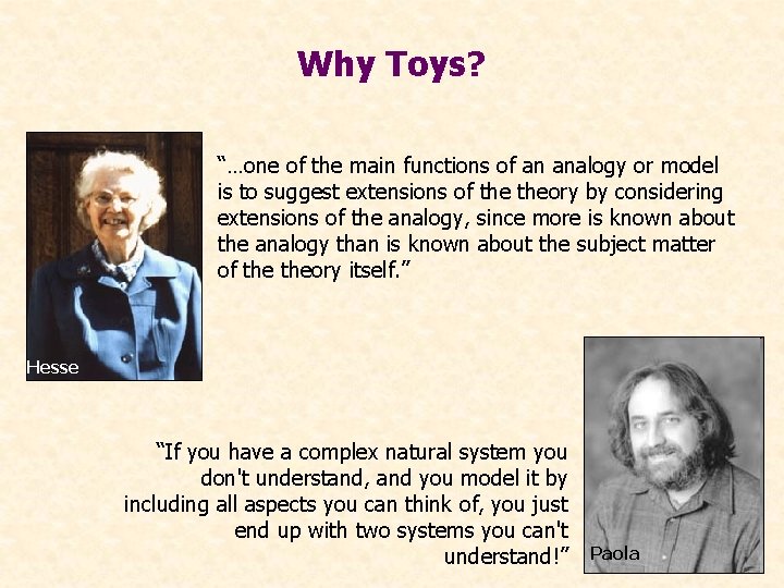 Why Toys? “…one of the main functions of an analogy or model is to