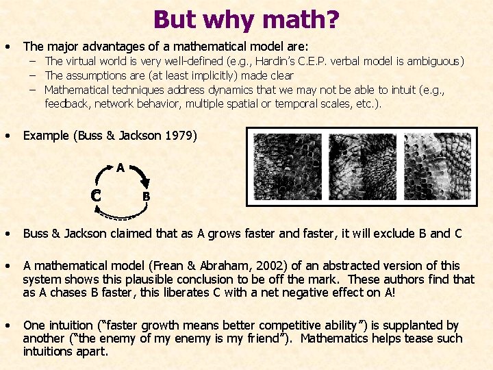 But why math? • The major advantages of a mathematical model are: – The