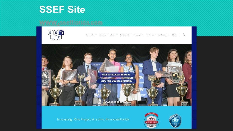 SSEF Site www. ssefflorida. com SSEF Site www. ssefflorida. com