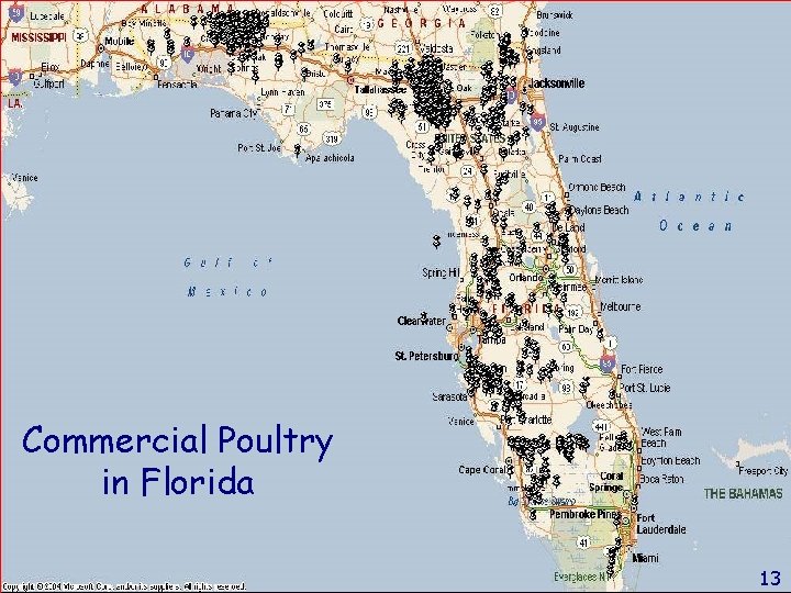 Commercial Poultry in Florida 13 