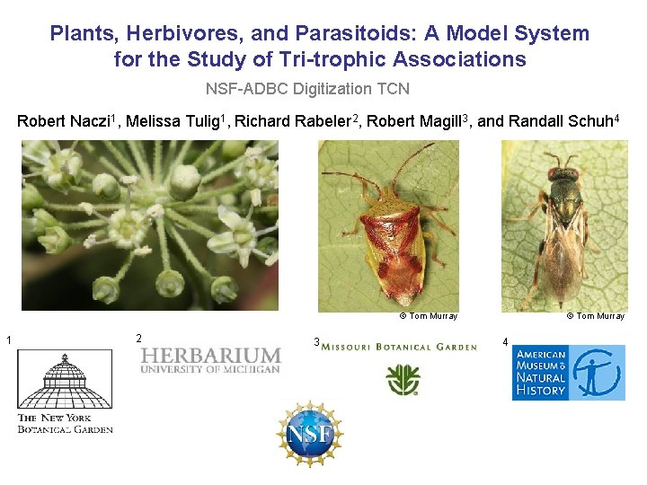 Plants, Herbivores, and Parasitoids: A Model System for the Study of Tri-trophic Associations NSF-ADBC