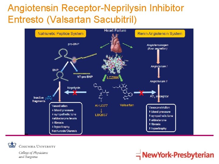 Angiotensin Receptor-Neprilysin Inhibitor Entresto (Valsartan Sacubitril) 