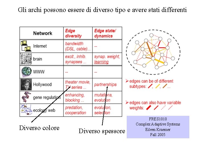 Gli archi possono essere di diverso tipo e avere stati differenti Diverso colore Diverso