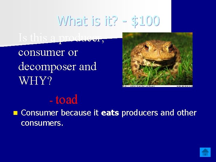 What is it? - $100 Is this a producer, consumer or decomposer and WHY?