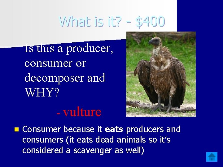 What is it? - $400 Is this a producer, consumer or decomposer and WHY?