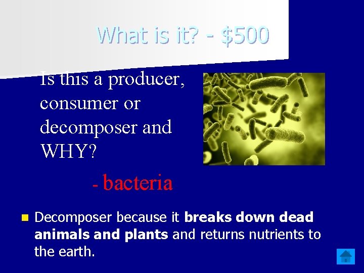 What is it? - $500 Is this a producer, consumer or decomposer and WHY?