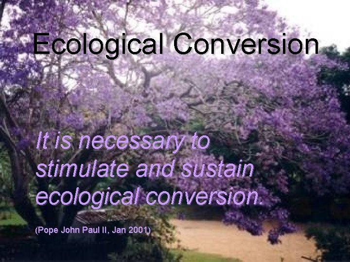 Ecological Conversion It is necessary to stimulate and sustain ecological conversion. (Pope John Paul