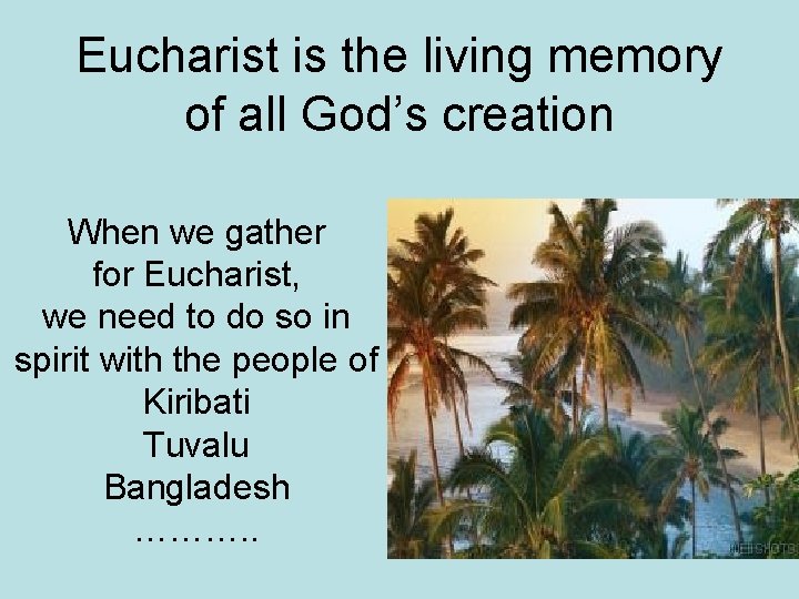 Eucharist is the living memory of all God’s creation When we gather for Eucharist,