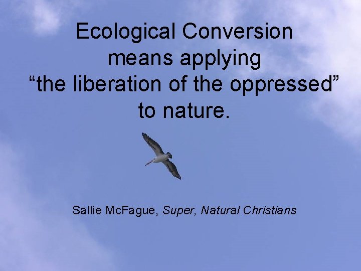 Ecological Conversion means applying “the liberation of the oppressed” to nature. Sallie Mc. Fague,