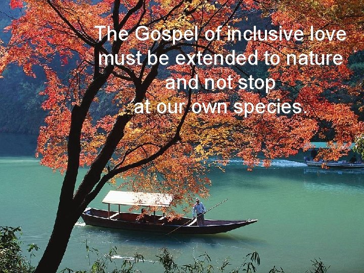 The Gospel of inclusive love must be extended to nature and not stop at