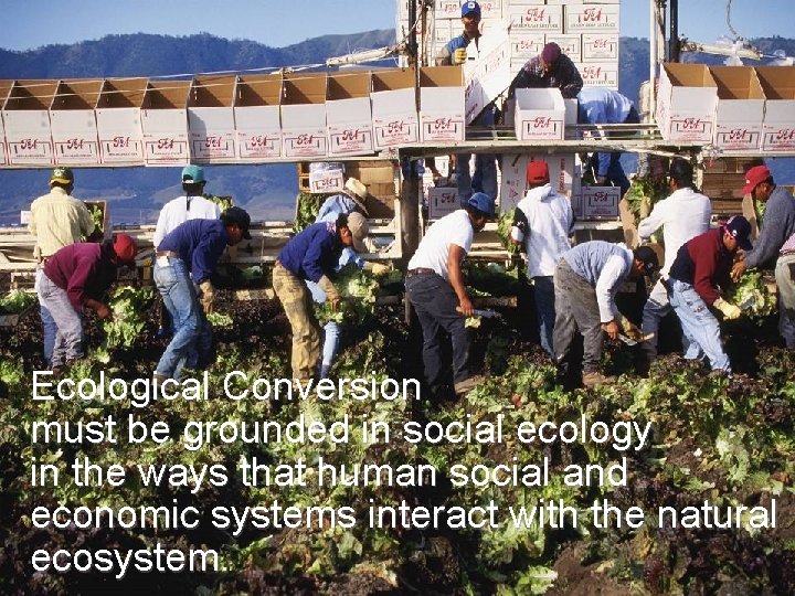 Ecological Conversion must be grounded in social ecology in the ways that human social