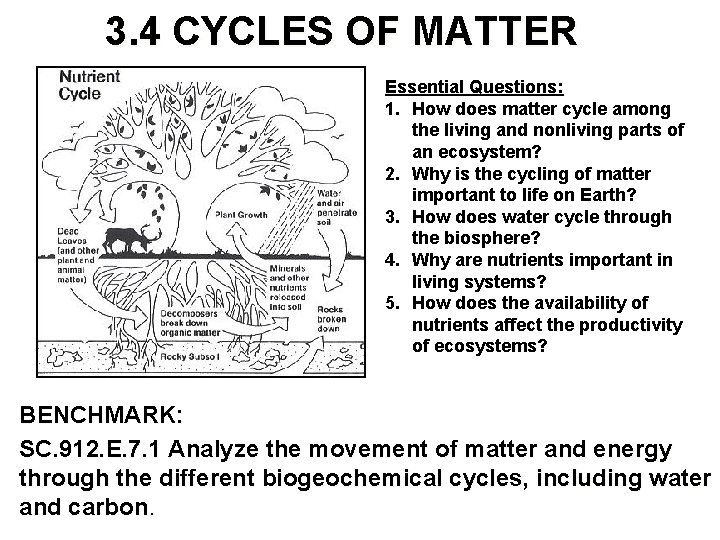 Lesson Overview Cycles of Matter 3. 4 CYCLES OF MATTER Essential Questions: 1. How