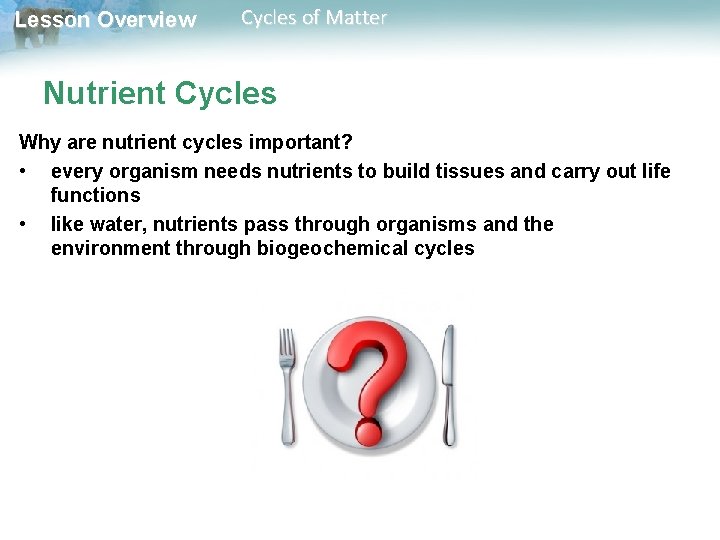 Lesson Overview Cycles of Matter Nutrient Cycles Why are nutrient cycles important? • every